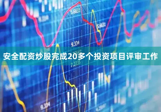 安全配资炒股完成20多个投资项目评审工作