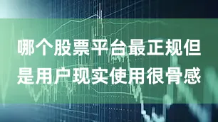 哪个股票平台最正规但是用户现实使用很骨感