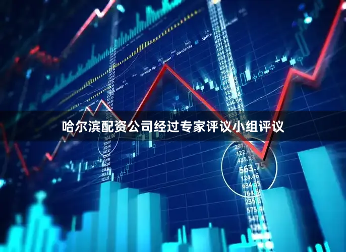 哈尔滨配资公司经过专家评议小组评议