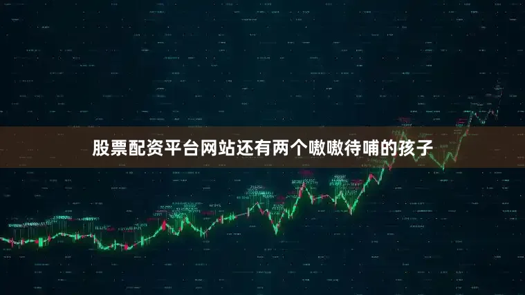 股票配资平台网站还有两个嗷嗷待哺的孩子