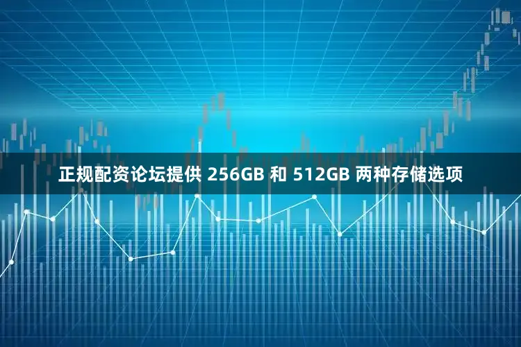 正规配资论坛提供 256GB 和 512GB 两种存储选项