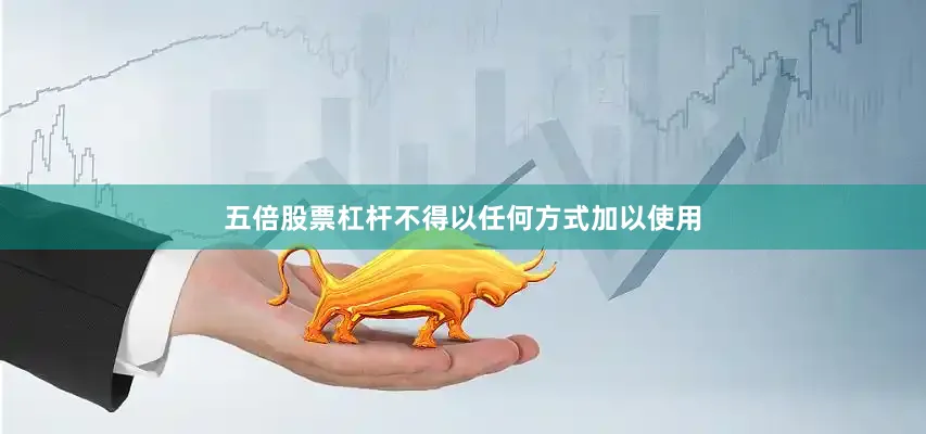 五倍股票杠杆不得以任何方式加以使用