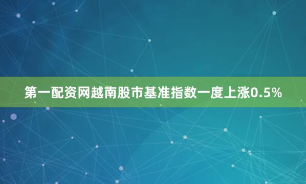 第一配资网越南股市基准指数一度上涨0.5%