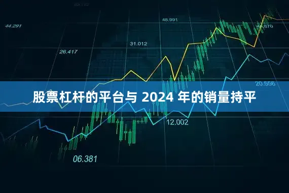 股票杠杆的平台与 2024 年的销量持平