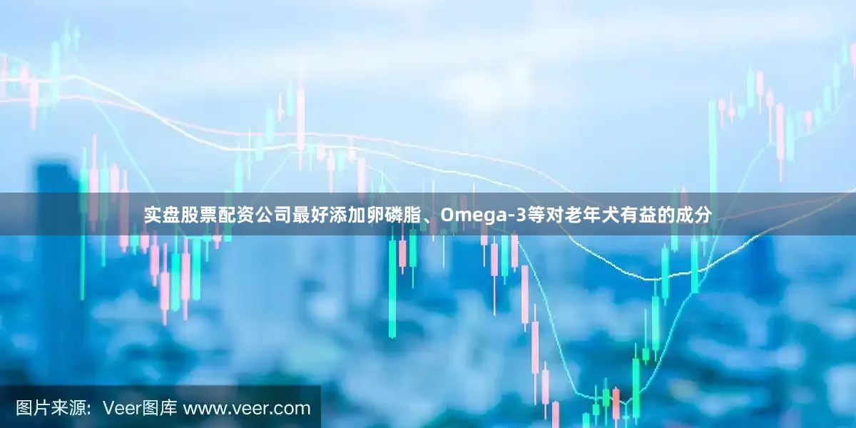 实盘股票配资公司最好添加卵磷脂、Omega-3等对老年犬有益的成分