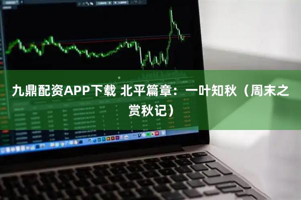 九鼎配资APP下载 北平篇章：一叶知秋（周末之赏秋记）